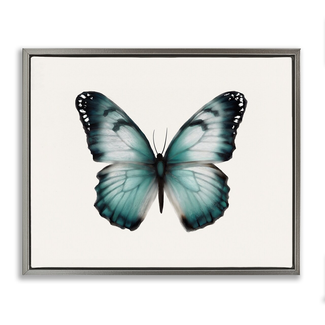 Stupell Industries Teal Symmetrical Butterfly Framed Floater Canvas Wall Art Design by Elizabeth Medley